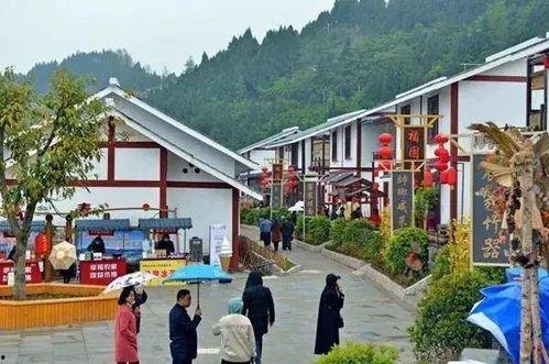 仪陇网红,揭秘巴蜀小城的网络魅力与影响力