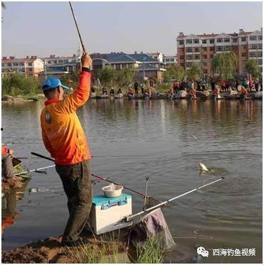 钓鱼窝料怎么看漂,从窝料看漂，精准捕捉鱼儿踪迹