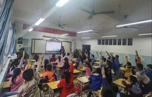 医技小网红,揭秘医学领域的网络新势力