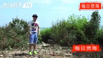 广西灵寿县头条网,聚焦本土动态，传递灵寿声音