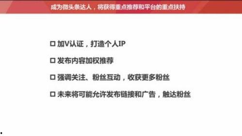 头条推荐频带什么意思,精准内容推送背后的秘密