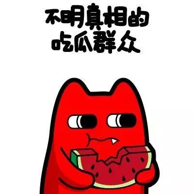 吃瓜群众追星,揭秘追星背后的疯狂世界