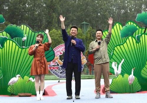 无机杀手最新爆料视频