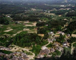 遵义凤冈天桥镇新闻头条,天桥镇焕新颜，乡村振兴谱新篇