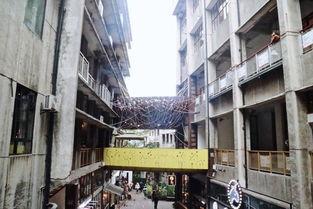 网红打卡地重庆美景视频,重庆网红打卡地美景视频集锦