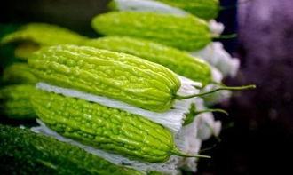 快瓜能长期吃吗,长期食用快瓜的利与弊探讨